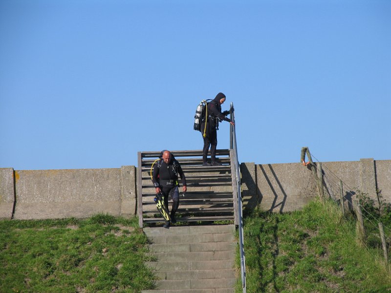 2012-05-26 08-43-41 Ludo.JPG